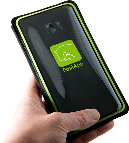Foal App Pouch
