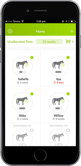 Monitor multiple mares