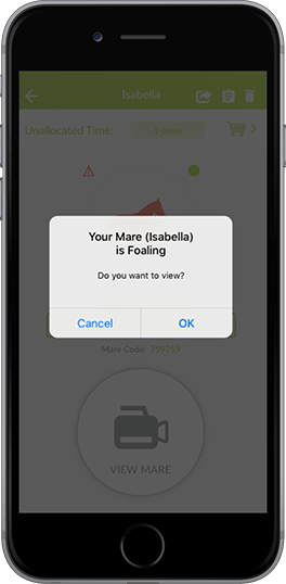 Receive alerts