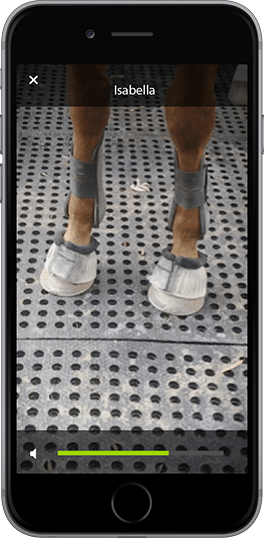 Check on your mare