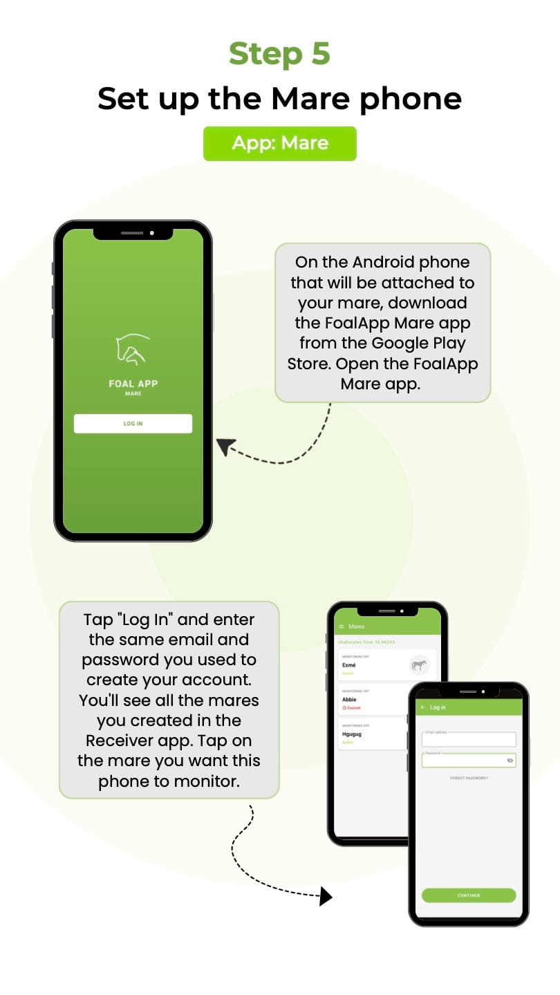 Step 5 - Set up the Mare Phone