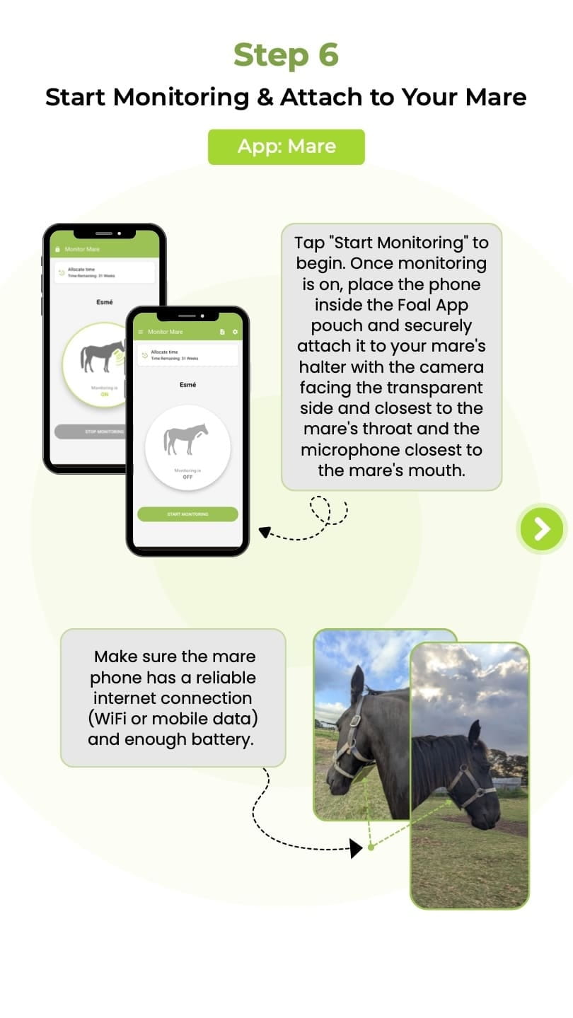 Step 6 - Start Monitoring